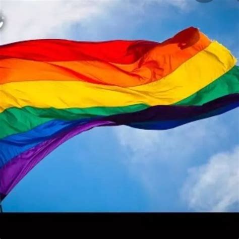 grupos de whatsapp gays|Grupos de WhatsApp relacionados a LGBT